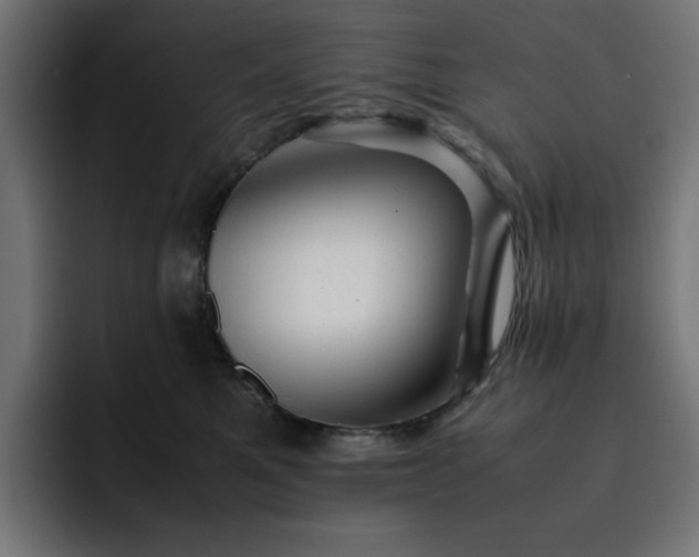 X0000093120521200710031336