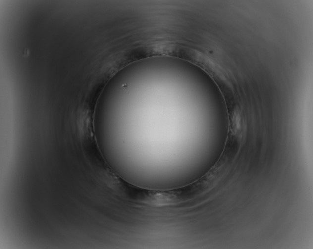 X0000093120522200710031336