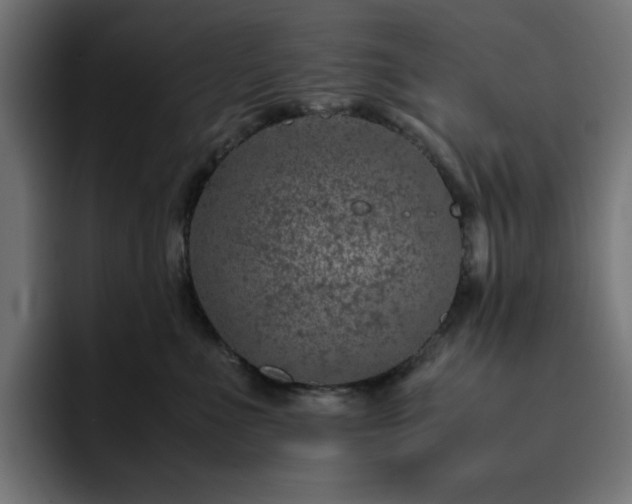 X0000093120523200710031336
