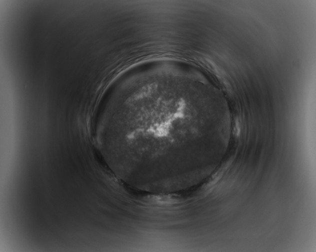 X0000093120524200710031336