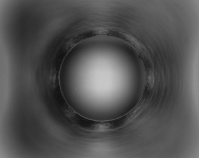 X0000093120525200710031336