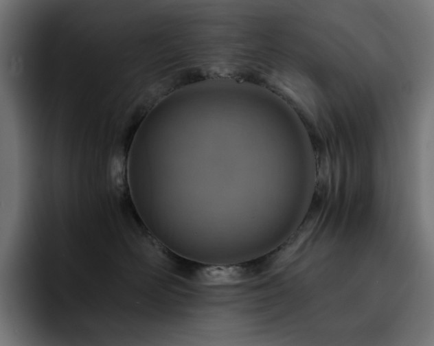 X0000093120526200710031336