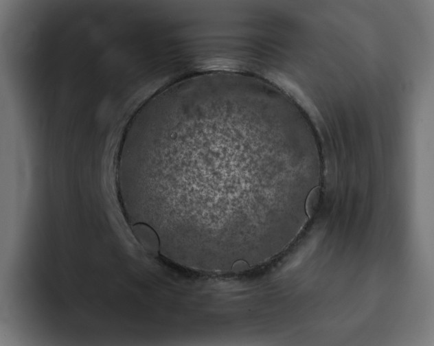 X0000093120529200710031335