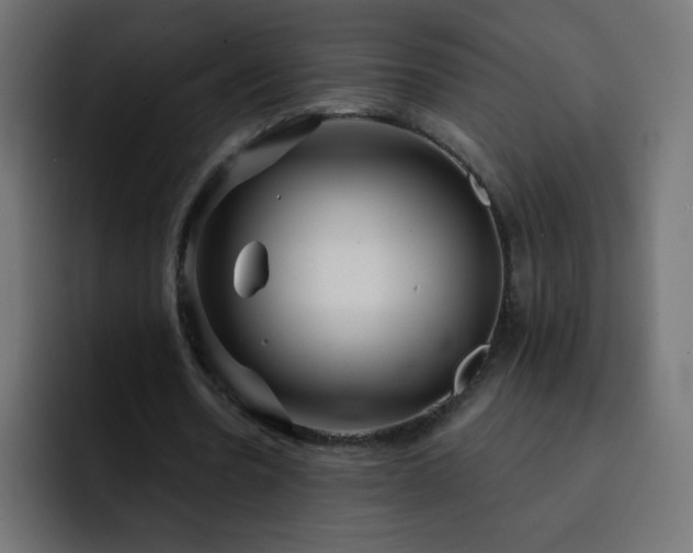 X0000093120530200710031335