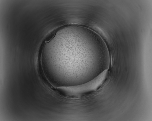 X0000093120531200710031335