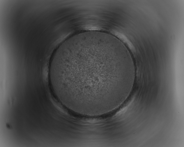 X0000093120533200710031335