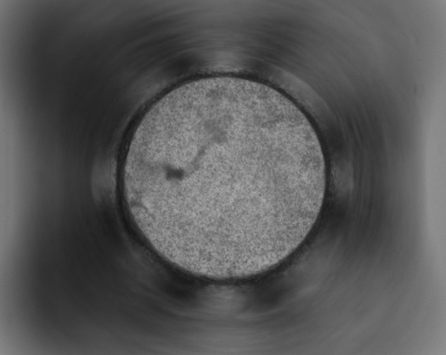 X0000093120534200710031335