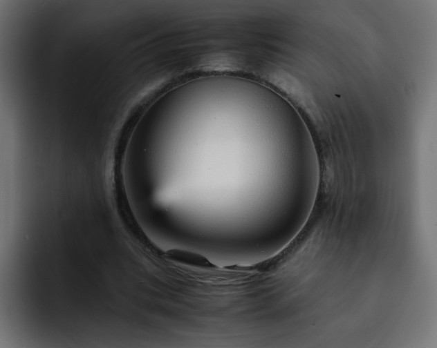 X0000093120535200710031335