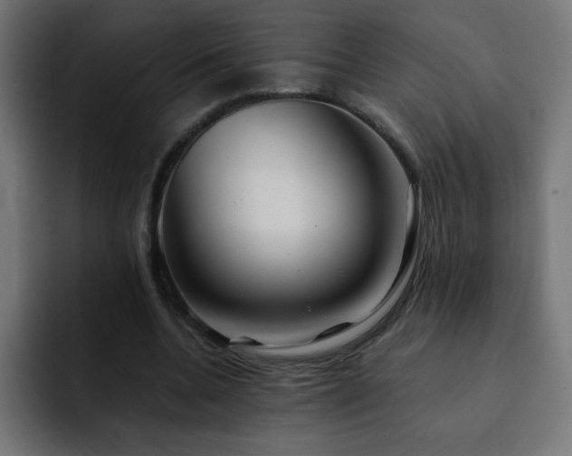 X0000093120536200710031335
