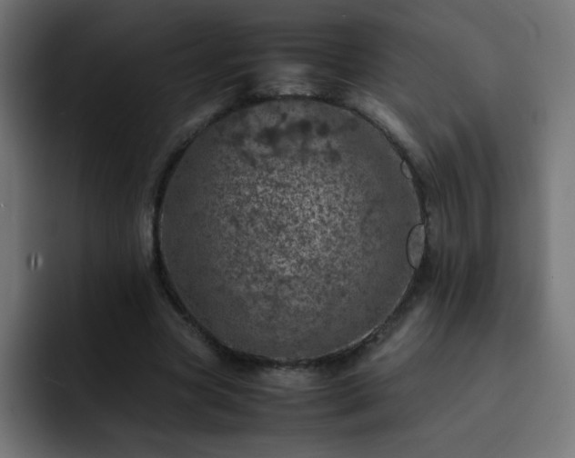 X0000093120537200710031335