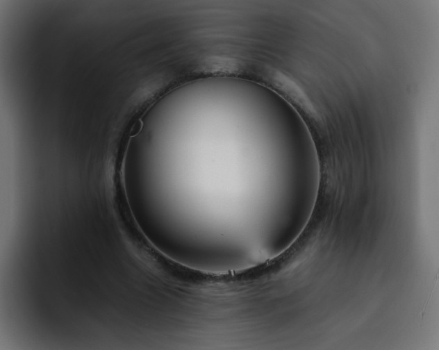 X0000093120538200710031335