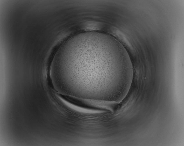 X0000093120539200710031336
