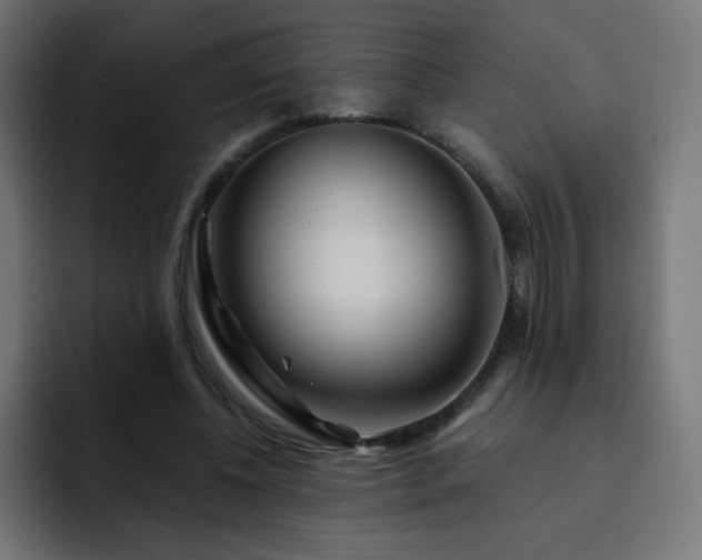 X0000093120540200710031336