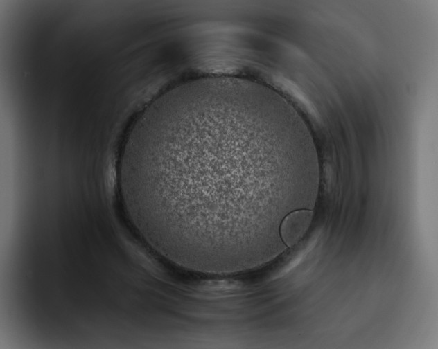 X0000093120541200710031336