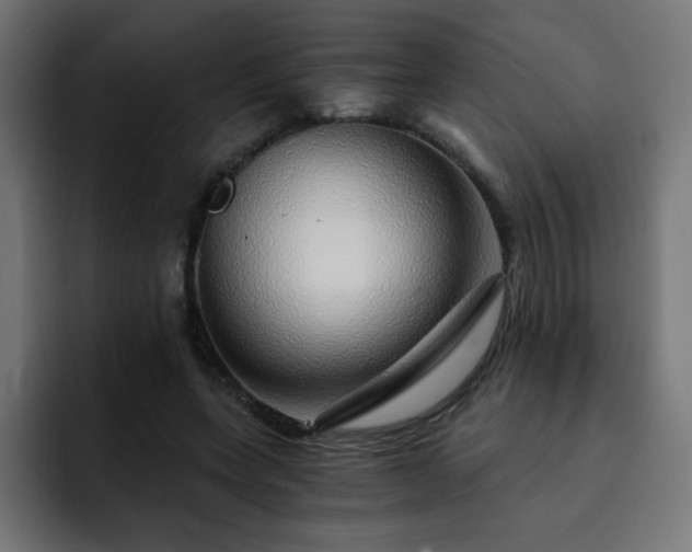 X0000093120543200710031336