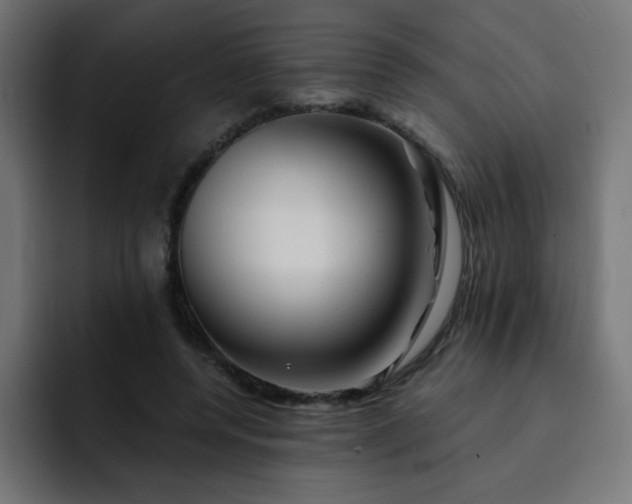 X0000093120544200710031336