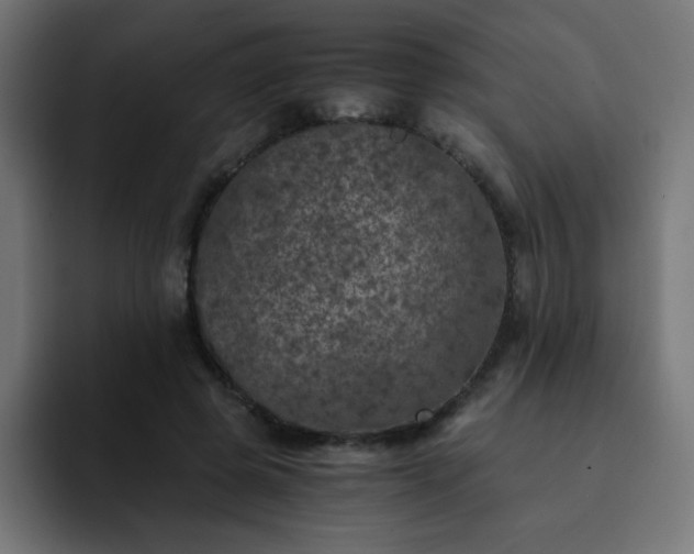 X0000093120545200710031336