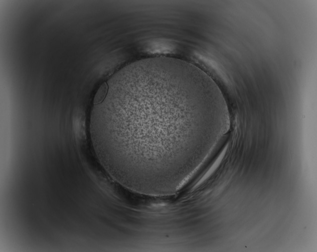 X0000093120547200710031336