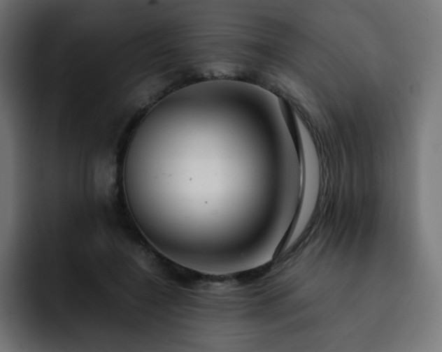 X0000093120548200710031336