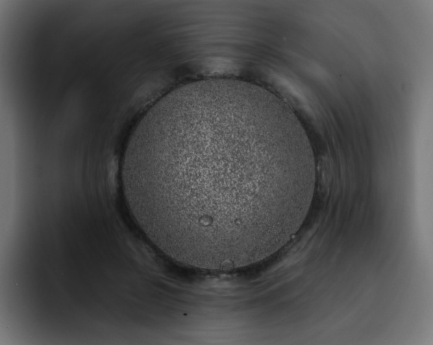 X0000093120550200710031336