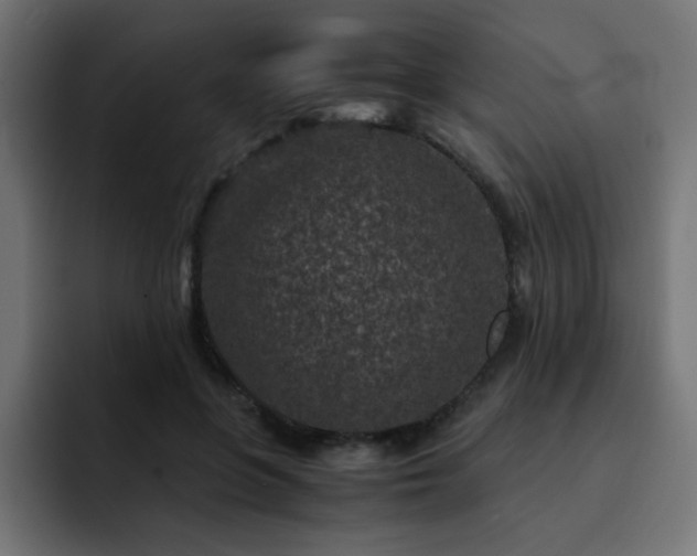 X0000093120551200710031336