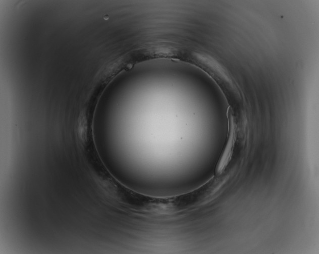 X0000093120552200710031336