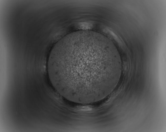 X0000093120553200710031336