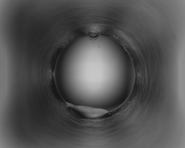 X0000093120555200710031336