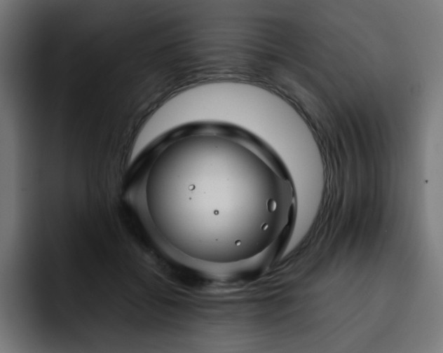 X0000093120556200710031336