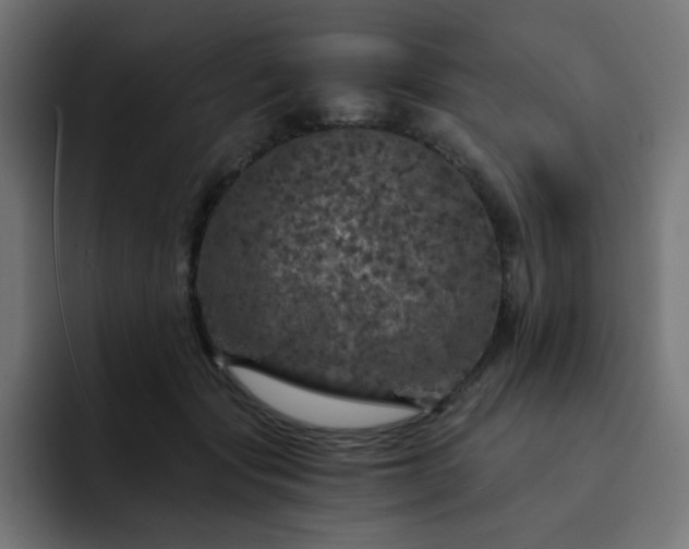 X0000093120557200710031336