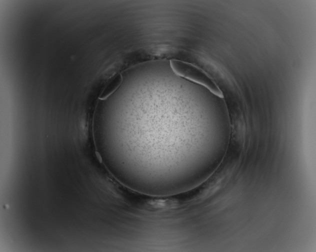 X0000093120558200710031336