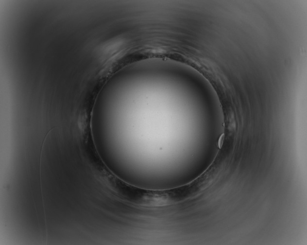X0000093120559200710031336