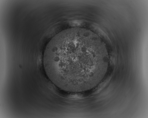 X0000093120561200710031336