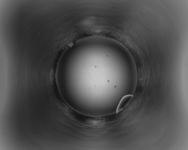 X0000093120563200710031336
