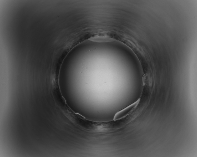 X0000093120564200710031336