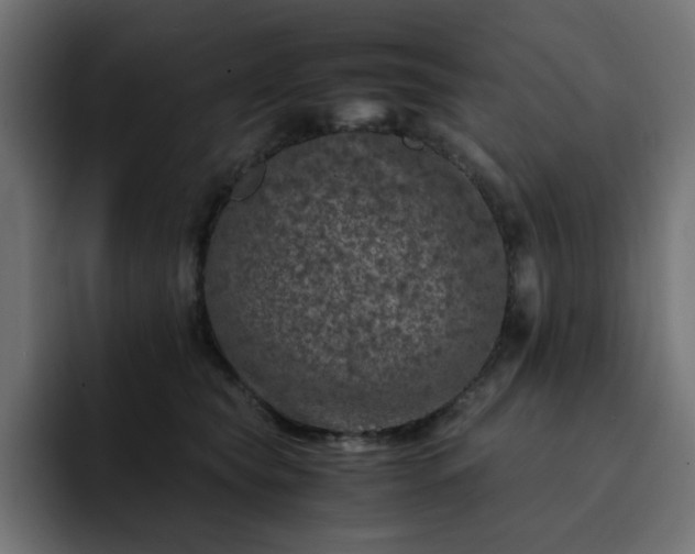 X0000093120565200710031336
