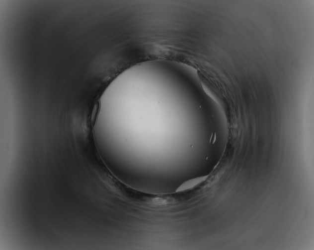 X0000093120566200710031336