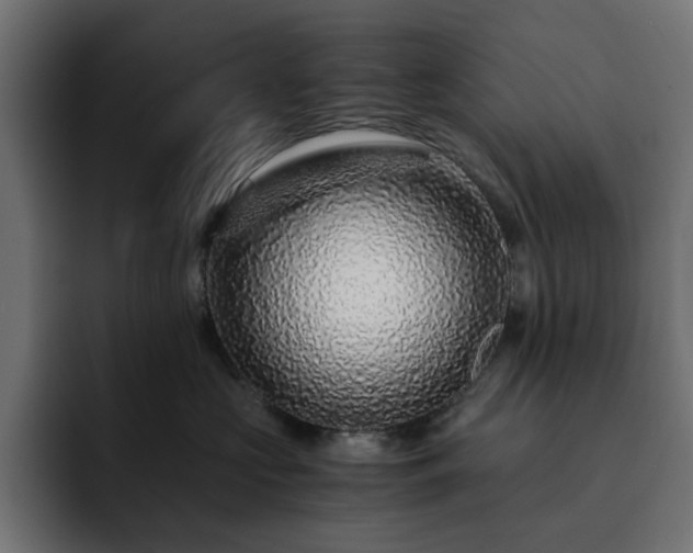 X0000093120573200710031336