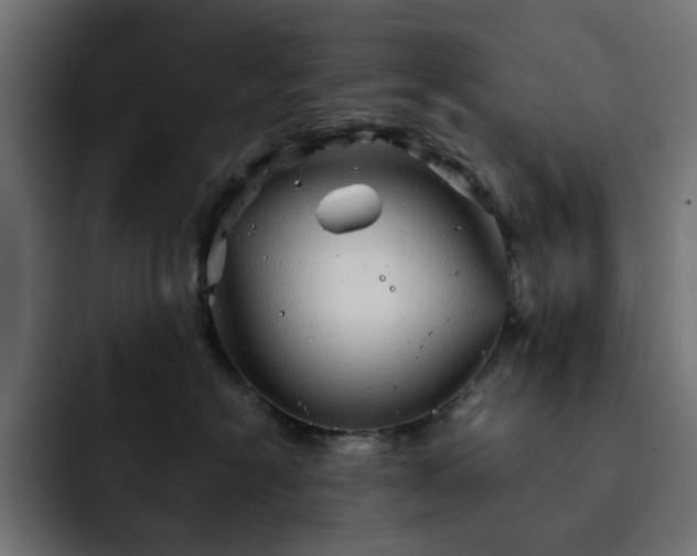 X0000093120574200710031336