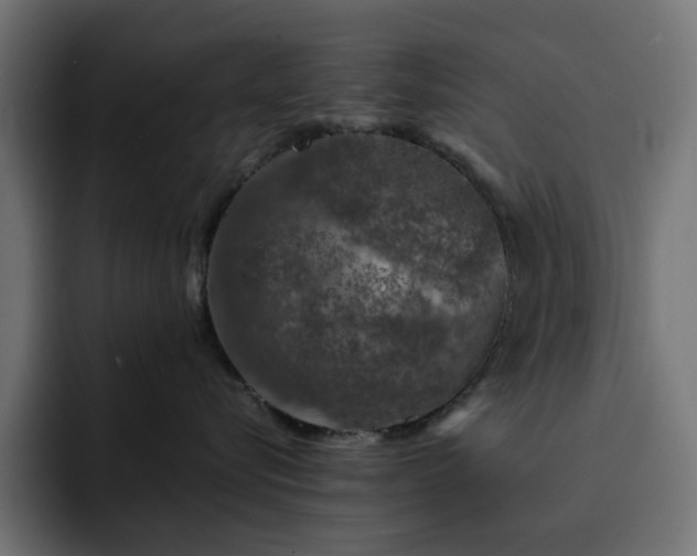 X0000093120576200710031336