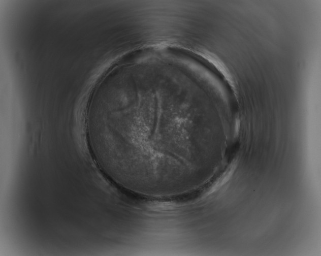 X0000093120577200710031335