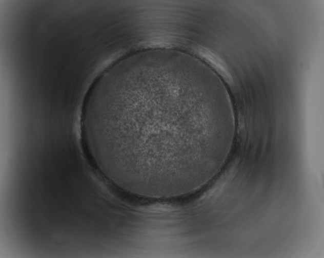 X0000093120578200710031335