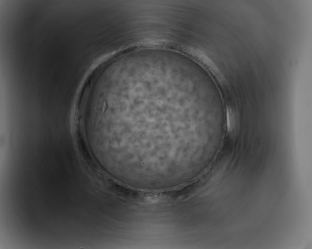 X0000093120579200710031335