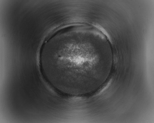 X0000093120581200710031335