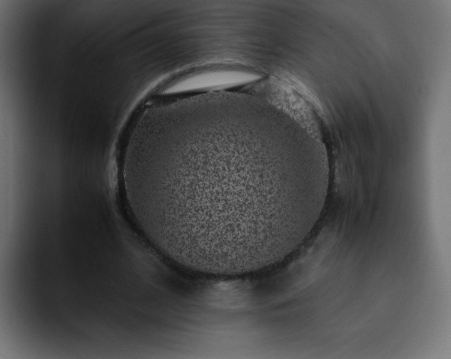 X0000093120584200710031335