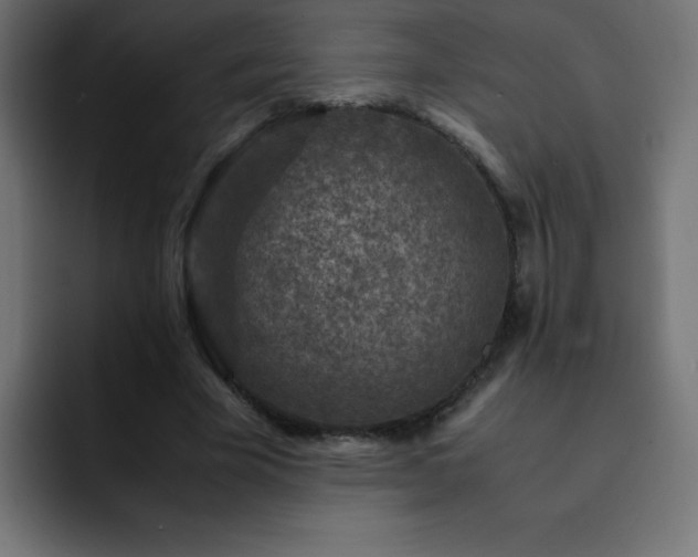 X0000093120585200710031335
