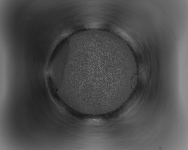 X0000093120586200710031335