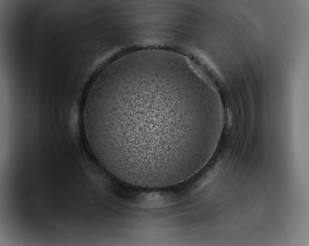 X0000093120588200710031335