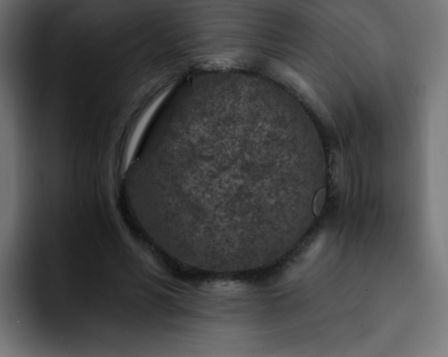 X0000093120590200710031335