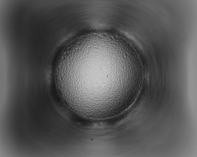 X0000093120591200710031335